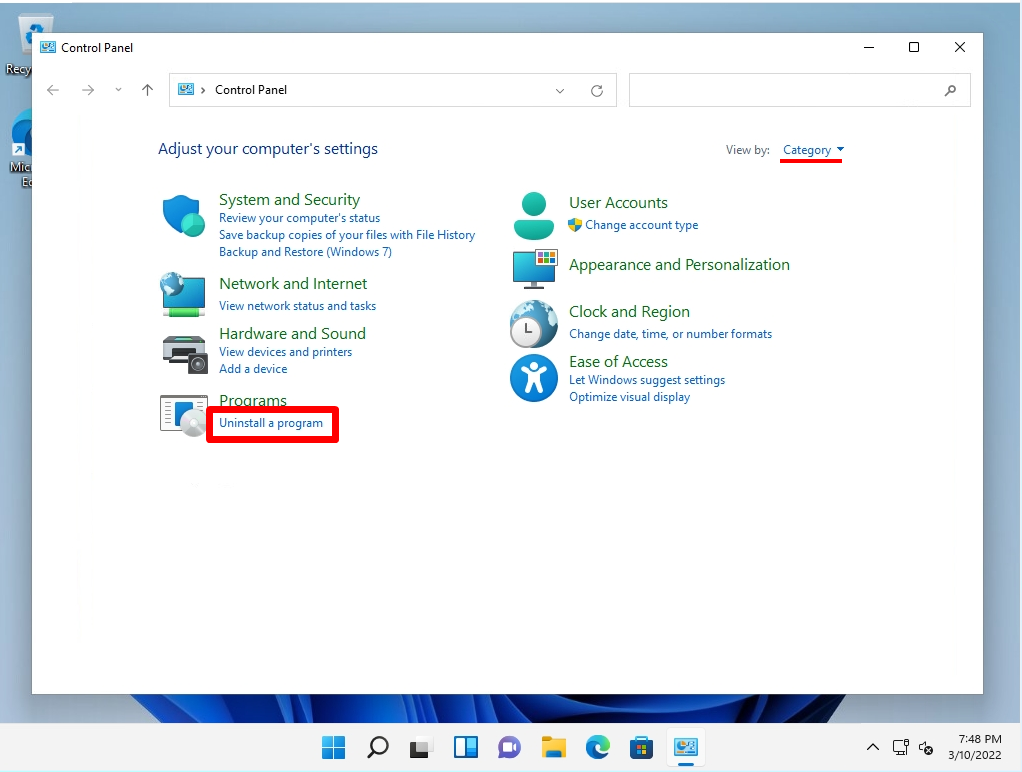 instalar internet information services windows 11